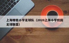 上海哪些小学足球队（2020上海小学校园足球联盟）