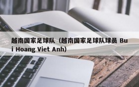 越南国家足球队（越南国家足球队球员 Bui Hoang Viet Anh）