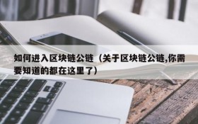 如何进入区块链公链（关于区块链公链,你需要知道的都在这里了）