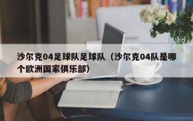沙尔克04足球队足球队（沙尔克04队是哪个欧洲国家俱乐部）