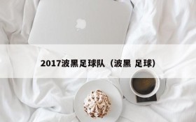 2017波黑足球队（波黑 足球）