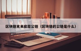区块链末来底层公链（区块链的公链是什么）