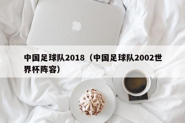 中国足球队2018（中国足球队2002世界杯阵容）