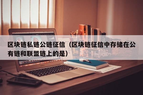 区块链私链公链征信（区块链征信中存储在公有链和联盟链上的是）