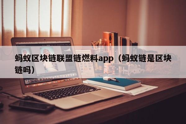 蚂蚁区块链联盟链燃料app（蚂蚁链是区块链吗）