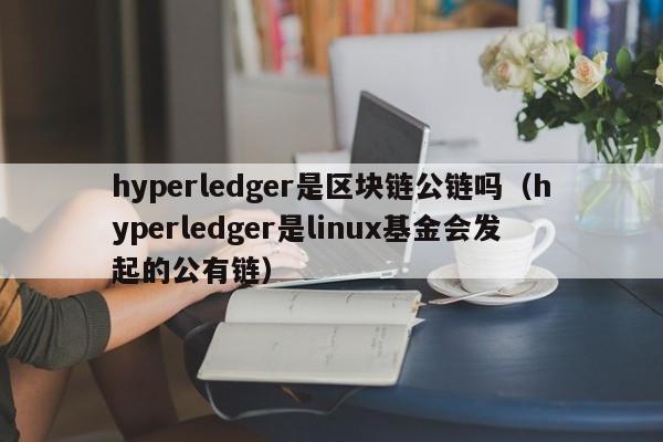 hyperledger是区块链公链吗（hyperledger是linux基金会发起的公有链）