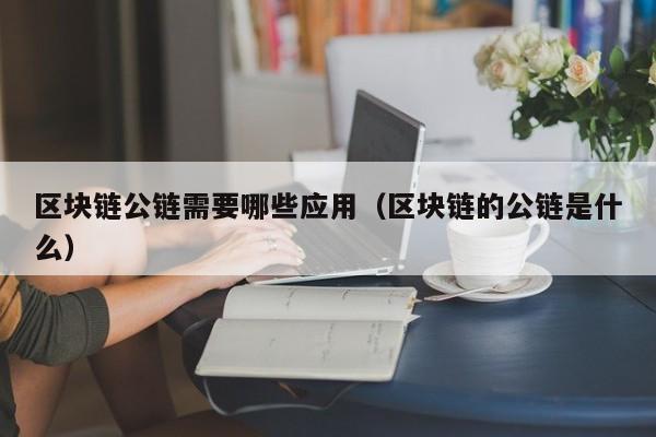 区块链公链需要哪些应用（区块链的公链是什么）
